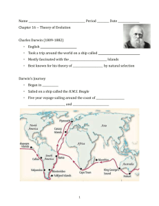 Evolution Skeleton Notes