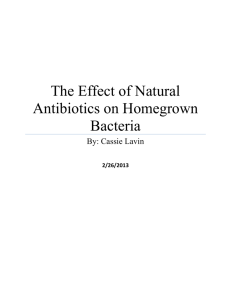 wRITTEN Lab REPORT - Antibiotics vs Bacteria