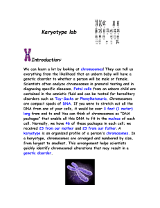 Karyotype lab