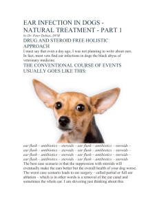 Ear Infections - Home All Things Canid.org