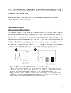 Real-time monitoring of protein conformational changes using a