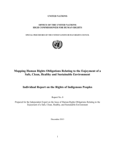 Individual Report on the Rights of Indigenous Peoples