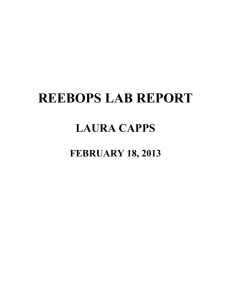 Genetics Report: reebops