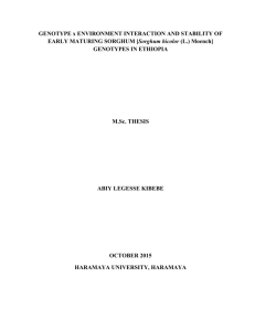 Abiy Thesis edited