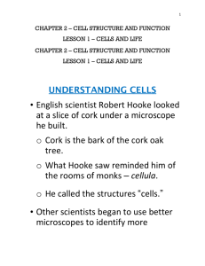 understanding cells - Academy of Our Lady