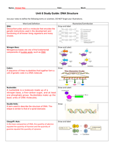 Unit 6 Study Guide: DNA Structure