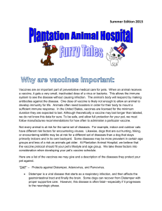 Summer Edition 2013 - Plantation Animal Hospital