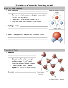 Polar Molecule