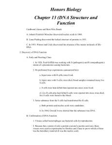 Chapter 13 Text Outline