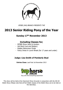 wa bred led senior riding pony of the year
