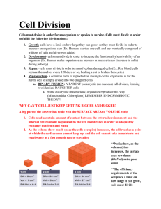 Cell Division Study Guide