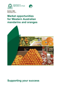 Market opportunities for WA mandarins and oranges