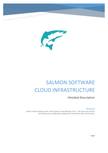 Salmon Software - Azure Documentation