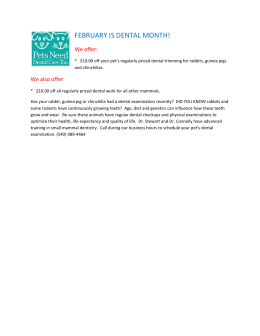 essay high school write journey