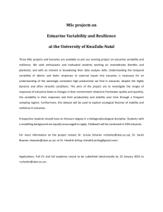 Estuarine Variability and Resilience