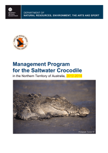 Management Program for the Saltwater Crocodile Photograph