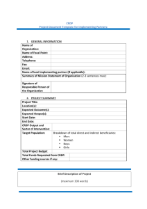 Project Document Template for Implementing Partners