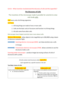 The Discovery of Cells Notes Cell Structure and Function