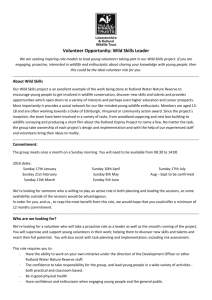 Volunteer Wild Skills Leader – role description
