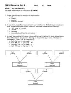 SBI3U Genetics Quiz 2