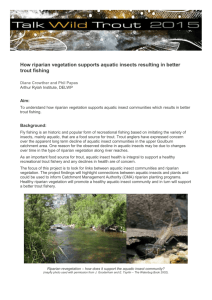 Bankside vegetation and insects summary [MS Word Document