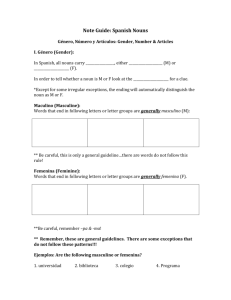 Nouns/Articles Note Guide