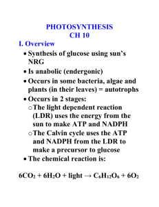 PHOTOSYNTHESIS CH 10 I. Overview Synthesis of glucose using