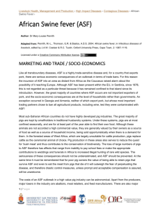 african_swine_fever_7_marketing