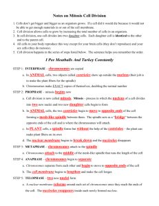 mitosis flip book pdf answer key