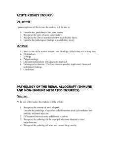 Renal Pathology Objectives