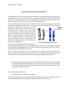 Genetic and Chromosomal Mutations
