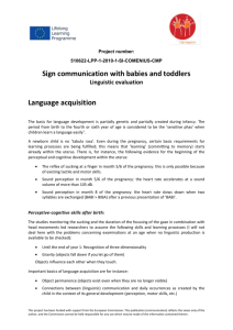 The Evaluation Report – Linguistics