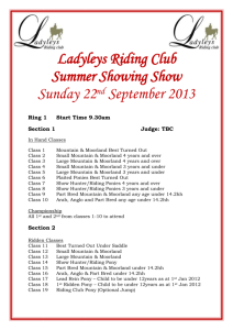 Ladyleys Riding Club Summer Showing Show 2013