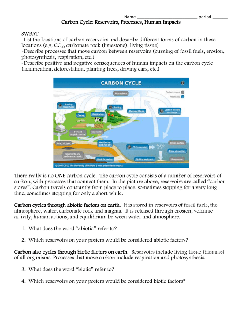 Carbon Cycle Worksheet Inside The Carbon Cycle Worksheet