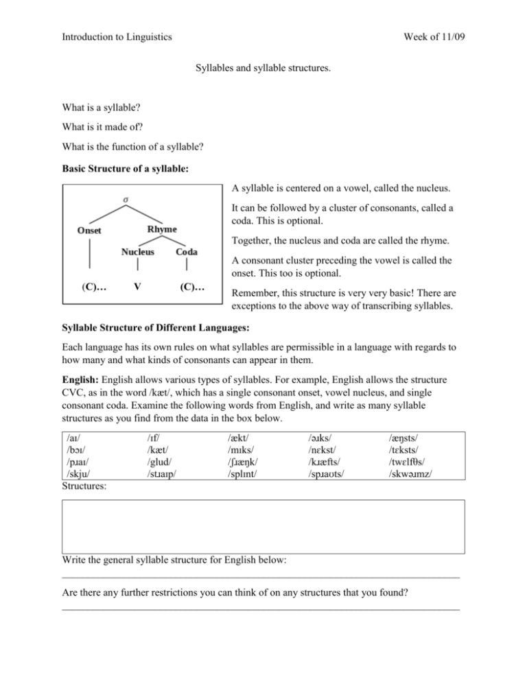 Syllable Structure Handout