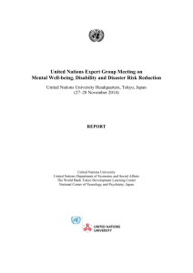 United Nations Expert Group Meeting on Mental Well