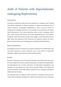 Audit of Nephrostomy | File Size: 86.46 KB | Date Updated: 03/10/2014