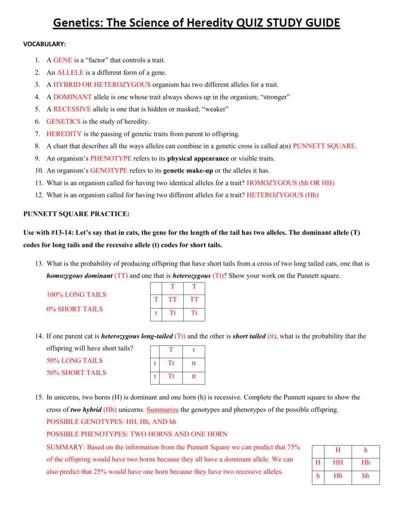 practice-heredity-vocabulary-worksheet-answer-key-must-check