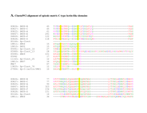 A. ClustalW2 alignment of spicule matrix C-type