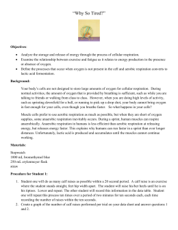 report 39 cardiac lab cycle Lab