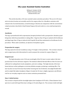 CO2 Laser Assisted Canine Castration