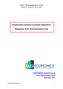 SLG Economics response to BIS consultation