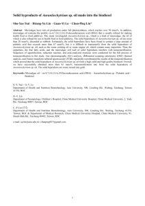 Thermal Explosion Analysis and Runaway Simulation of Cumene