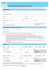 Pet initial registration form(DOCX 105 KB)