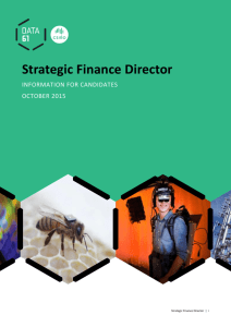 Strategic Finance Director