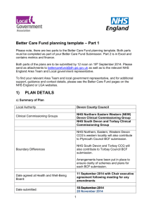 Devon Better Care Fund – Planning Template – November 2014