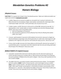 Mendelian Genetics Problems #2 Honors Biology