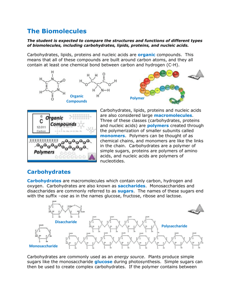 polymer of carbohydrates lipids and proteins