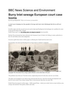 Burry Inlet sewage European court case looms