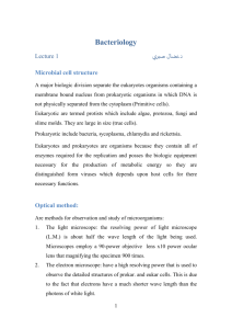 Bacteriology